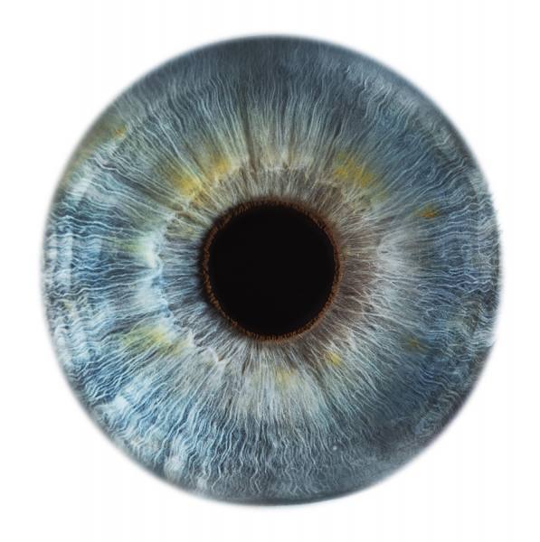 Photograph Jonathan Knowles Vision Express 3 on One Eyeland